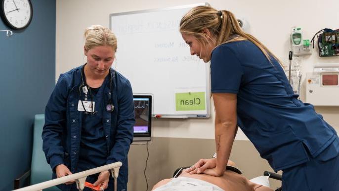 Nursing Simulation